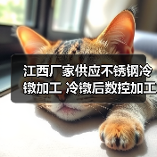 江西厂家供应不锈钢冷镦加工 冷镦后数控加工 定做精密非标件（图2）