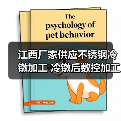江西厂家供应不锈钢冷镦加工 冷镦后数控加工 定做精密非标件（图4）
