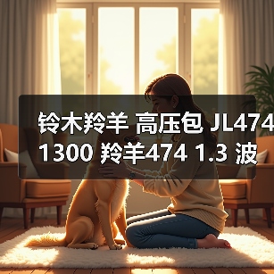 铃木羚羊 高压包 JL474 1300 羚羊474 1.3 波箱发动机总成（图4）
