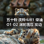 五十铃 庆铃4JB1 柴油 O1 O2 涡轮增压 发动机（图3）