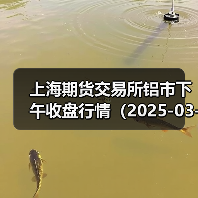 上海期货交易所铝市下午收盘行情（2025-03-26 15:03）（图2）