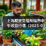 上海期货交易所铝市中午收盘行情（2025-03-26 11:33）（图2）