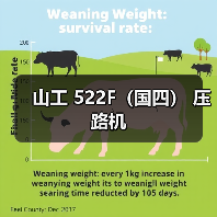 山工 522F(国四) 压路机(图4) 山工 522F(国四) 压路机(图4)