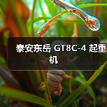 泰安东岳 GT8C-4 起重机(图4) 泰安东岳 GT8C-4 起重机(图4)