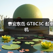 泰安东岳 GT8C3C 起重机(图4) 泰安东岳 GT8C3C 起重机(图4)