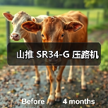 山推 SR34-G 压路机(图3) 山推 SR34-G 压路机(图3)