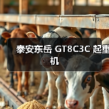 泰安东岳 GT8C3C 起重机(图3) 泰安东岳 GT8C3C 起重机(图3)