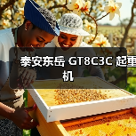 泰安东岳 GT8C3C 起重机(图2) 泰安东岳 GT8C3C 起重机(图2)