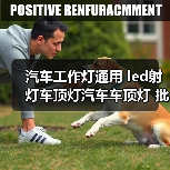 汽车工作灯通用 led射灯车顶灯汽车车顶灯 批发圆形顶灯雾灯（图3）