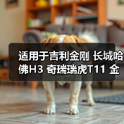 适用于吉利金刚 长城哈佛H3 奇瑞瑞虎T11 金杯欧三喷油嘴25345994（图4）