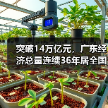 突破14万亿元，广东经济总量连续36年居全国首位（图3）