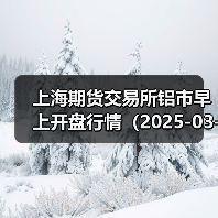 上海期货交易所铝市早上开盘行情（2025-03-25 09:03）（图4）
