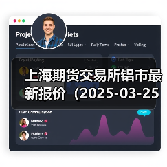 上海期货交易所铝市最新报价（2025-03-25 10:15）（图4）