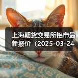 上海期货交易所铝市最新报价（2025-03-24 14:00）（图1）