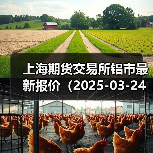 上海期货交易所铝市最新报价（2025-03-24 10:15）（图2）