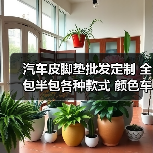 汽车皮脚垫批发定制 全包半包各种款式 颜色车型齐全（图3）