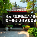 批发汽车天线铝合金改装**天线 碳纤维改装碳纤车用通用天线（图2）