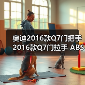 奥迪2016款Q7门把手 2016款Q7门拉手 ABS电镀件