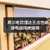高尔老款捷达王活性碳罐电磁阀碳罐阀（图3）