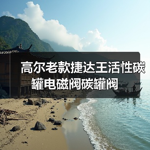 高尔老款捷达王活性碳罐电磁阀碳罐阀（图2）