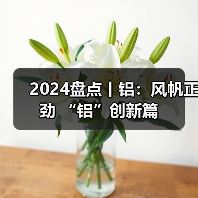 2024盘点丨铝：风帆正劲 “铝”创新篇（图2）