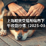 上海期货交易所铝市下午收盘行情（2025-03-21 15:03）（图3）