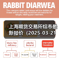 上海期货交易所铝市最新报价（2025-03-21 10:15）（图4）