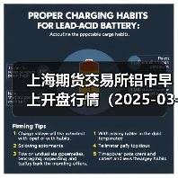 上海期货交易所铝市早上开盘行情(2025-03-21 09:03)(图4) 上海期货交易所铝市早上开盘行情(2025-03-21 09:03)(图4)