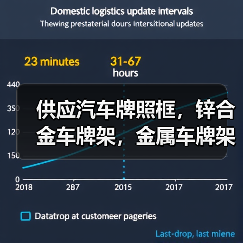 供应汽车牌照框，锌合金车牌架，金属车牌架（图2）