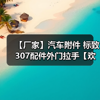 【厂家】汽车附件 标致307配件外门拉手【欢迎来电商谈】（图4）