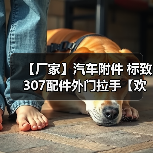 【厂家】汽车附件 标致307配件外门拉手【欢迎来电商谈】（图1）