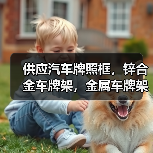 供应汽车牌照框，锌合金车牌架，金属车牌架（图1）