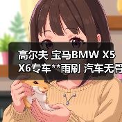 高尔夫 宝马BMW X5 X6专车**雨刷 汽车无骨雨刷器 雨刮器（图2）