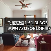 飞度思迪1.51.3L3G3速锐473QEQB比亚迪F3发动机总成（图2）
