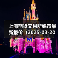 上海期货交易所铝市最新报价（2025-03-20 14:00）（图4）