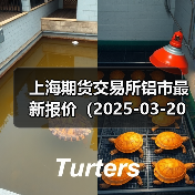 上海期货交易所铝市最新报价（2025-03-20 10:15）（图3）
