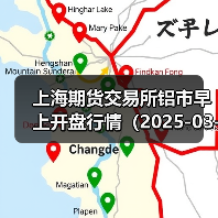 上海期货交易所铝市早上开盘行情（2025-03-20 09:03）（图4）