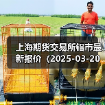 上海期货交易所铝市最新报价（2025-03-20 00:00）（图2）