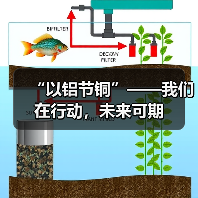 “以铝节铜”——我们在行动,未来可期(图2) “以铝节铜”——我们在行动,未来可期(图2)