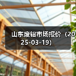 山东废铝市场报价（2025-03-19）（图4）