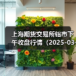 上海期货交易所铝市下午收盘行情(2025-03-19 15:03)(图4) 上海期货交易所铝市下午收盘行情(2025-03-19 15:03)(图4)