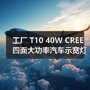 工厂 T10 40W CREE 四面大功率汽车示宽灯 30W 50W LED阅读灯（图3）