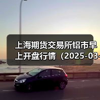 上海期货交易所铝市早上开盘行情（2025-03-19 09:03）（图3）