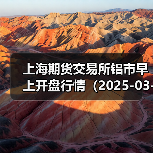 上海期货交易所铝市早上开盘行情（2025-03-19 09:03）（图1）