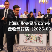 上海期货交易所铝市夜盘收盘行情（2025-03-17 01:03）（图2）