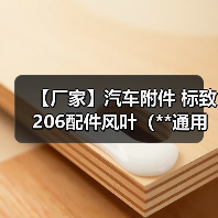 【厂家】汽车附件 标致206配件风叶（**通用）（图2）