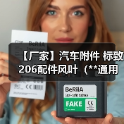 【厂家】汽车附件 标致206配件风叶（**通用）（图4）
