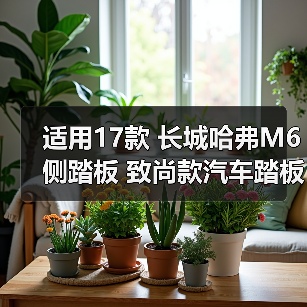 适用17款 长城哈弗M6侧踏板 致尚款汽车踏板 越野车改装一件代发(图4) 适用17款 长城哈弗M6侧踏板 致尚款汽车踏板 越野车改装一件代发(图4)