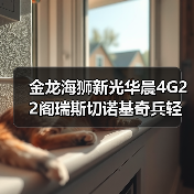 金龙海狮新光华晨4G22阁瑞斯切诺基奇兵轻客4G20变速箱发动机总成（图1）