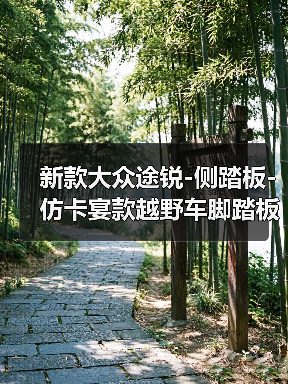 新款大众途锐-侧踏板-仿卡宴款越野车脚踏板-尚唯-改装-厂家（图2）